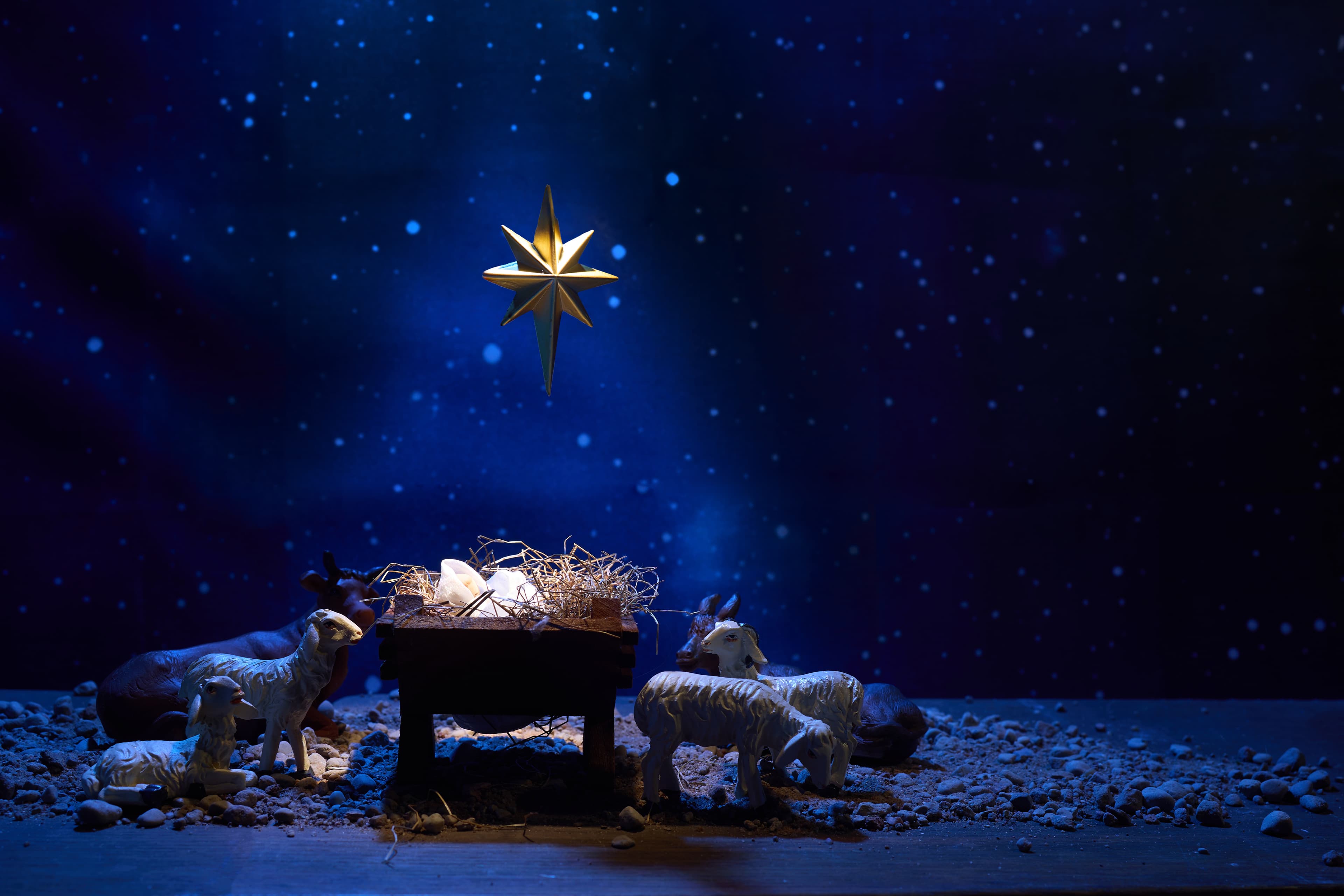 Part 14, The Christmas Story